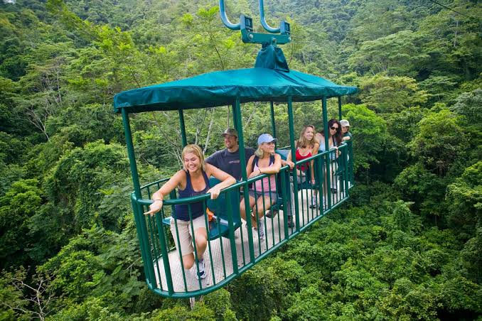 Rainforest Aerial Tram