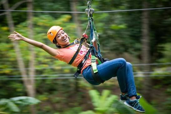 Rainforest Zipline Adventure