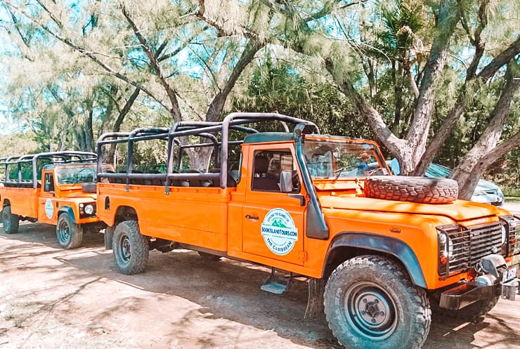 Jeep Safari: Amazing Views